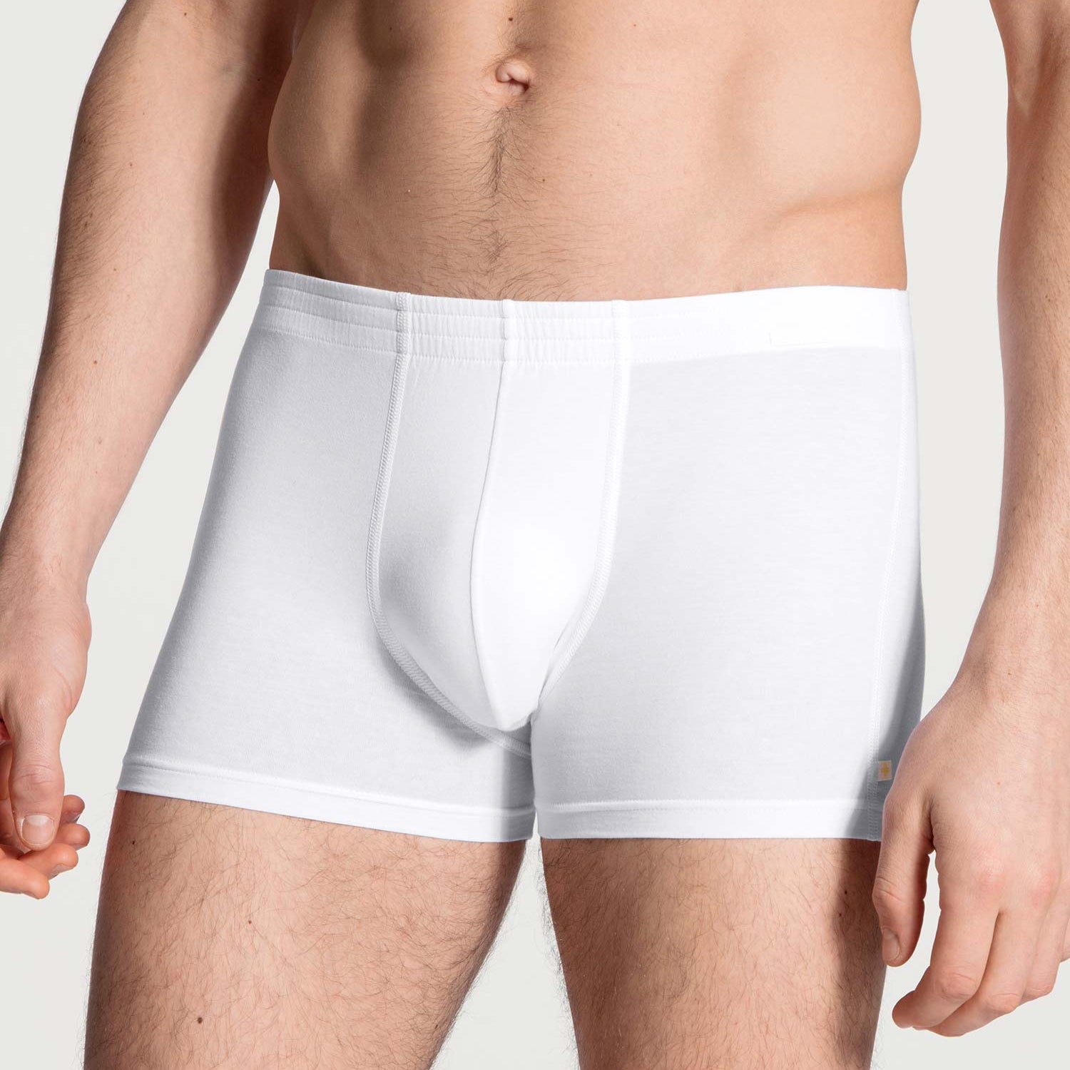 Nuovi boxer con fascia in tessuto, FOCUS