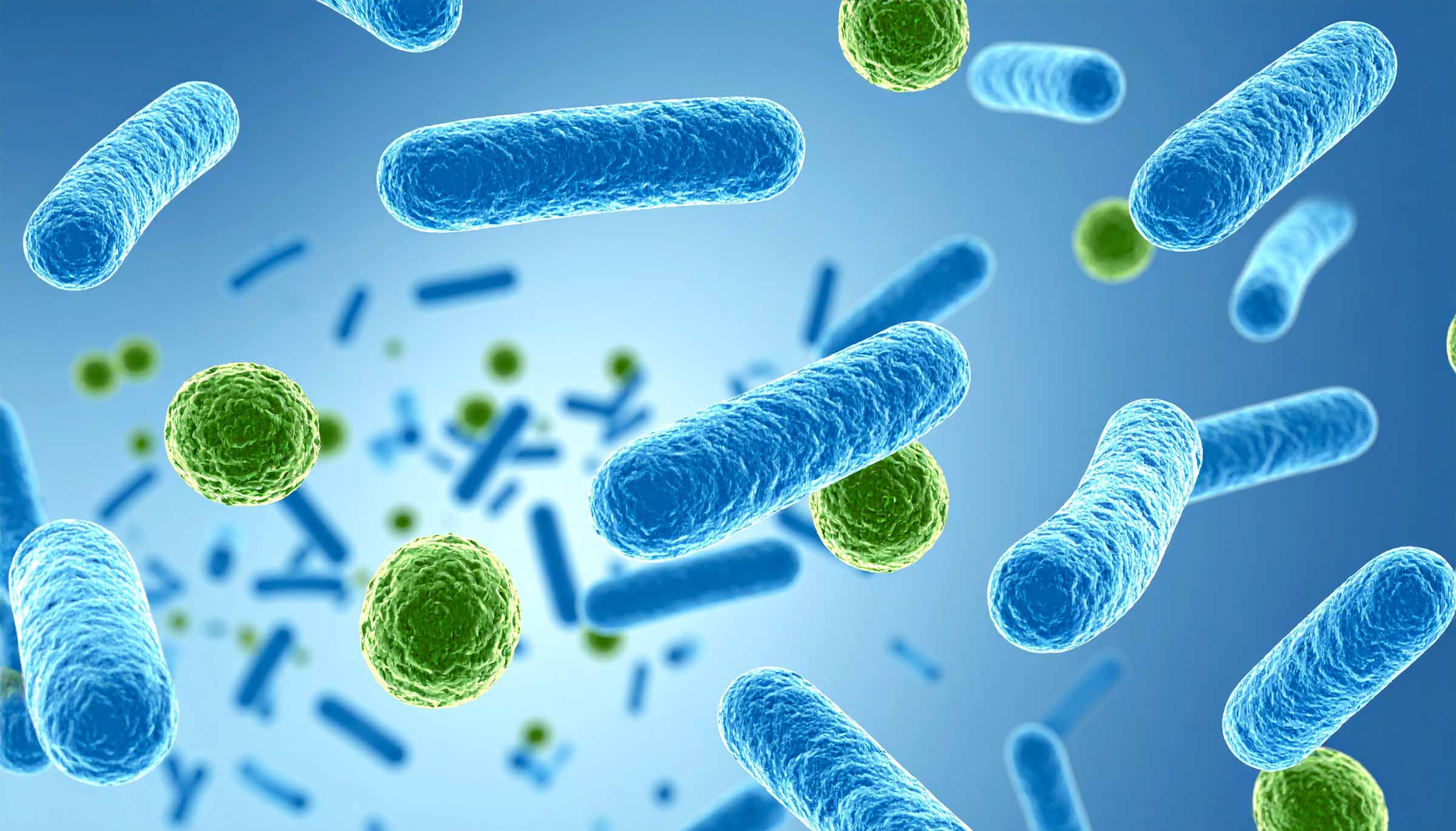 Hygiene-Wissen. So bleibt Unterwäsche gesund.