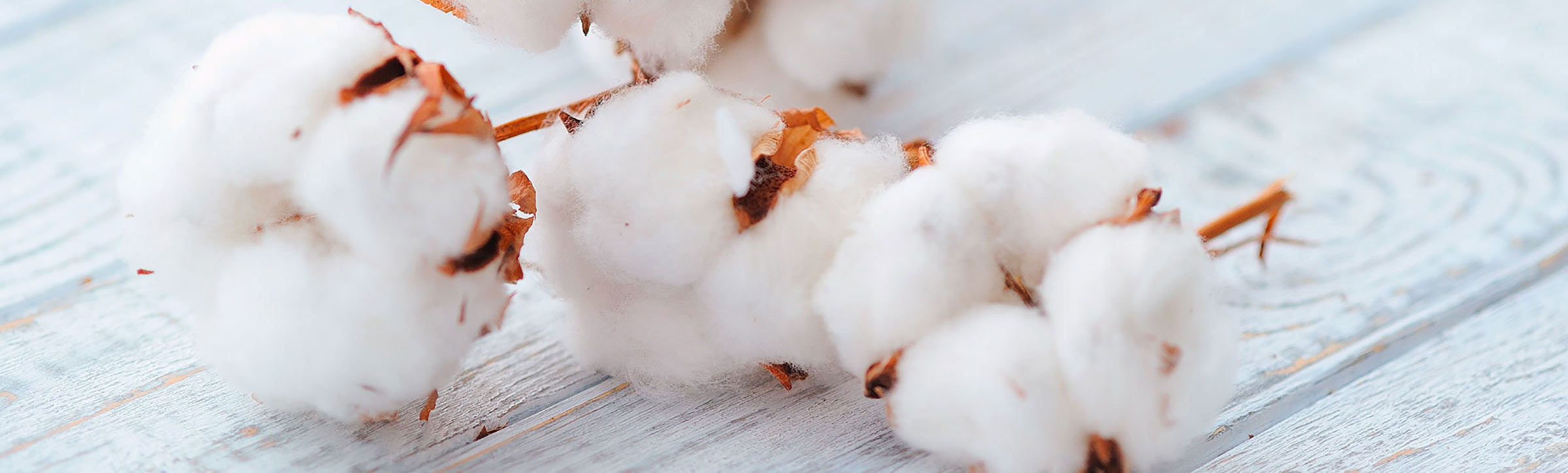 FAIRTRADE MAX HAVELAAR