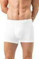 Trunk Shorty, Boxer Pantalon ICONIC MODAL 